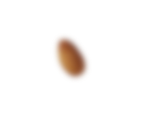 Image is not available