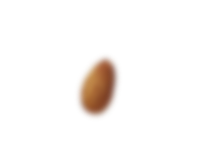 Image is not available