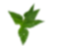 Image is not available